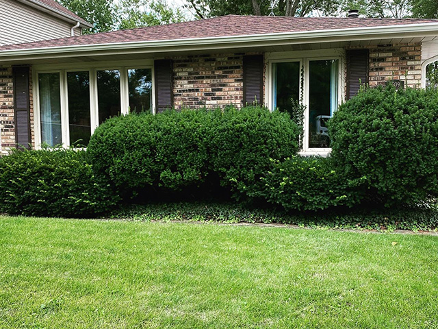 Weekly Lawn Services in Chicago's South Suburbs