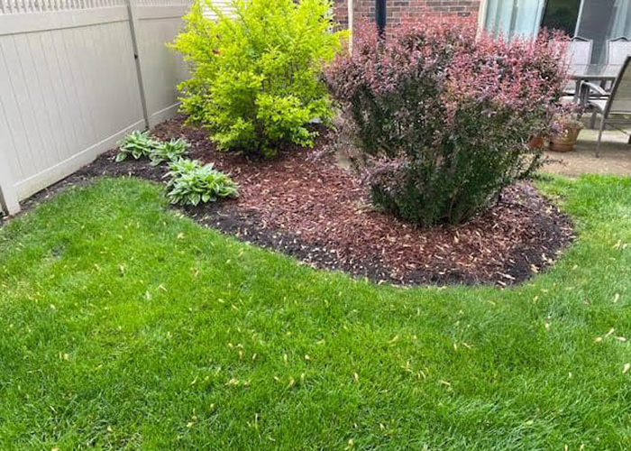 Landscaping Services Landscaping Services