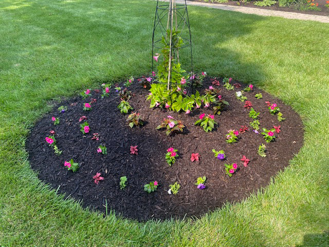 Landscape Bed Care & Fertilizing Programs