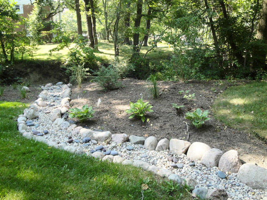 River Bed