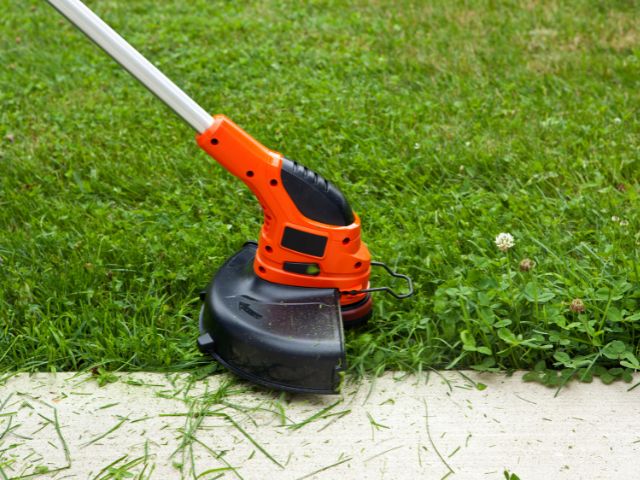Edging, Trimming & Yard Cleanup