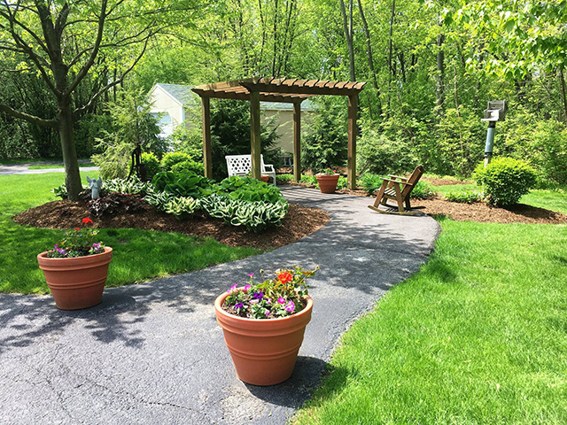Backyard landscaping