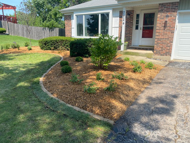 mulch-bedding