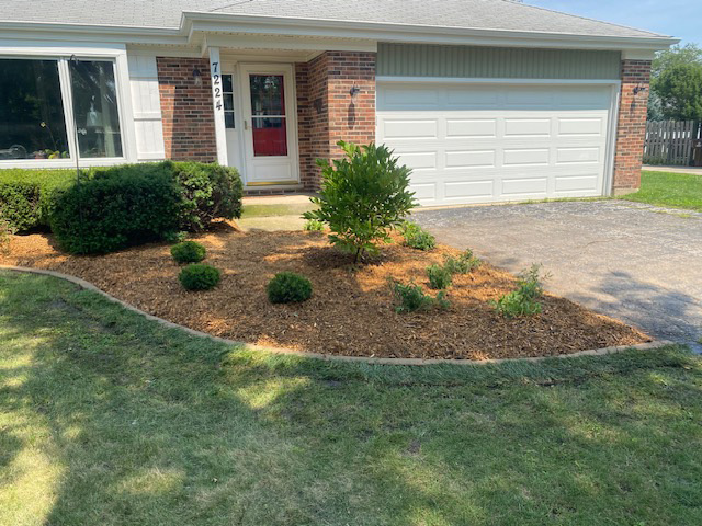 mulch-bedding2