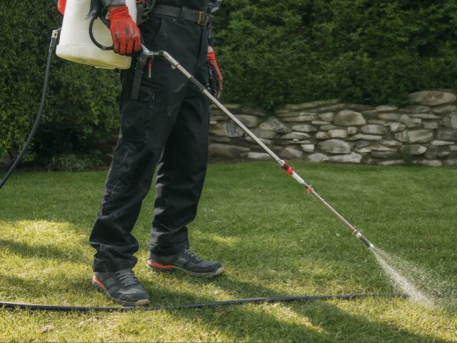 Weed, Disease & Insect Control